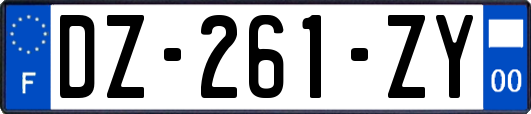 DZ-261-ZY