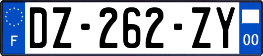 DZ-262-ZY