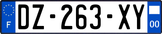 DZ-263-XY