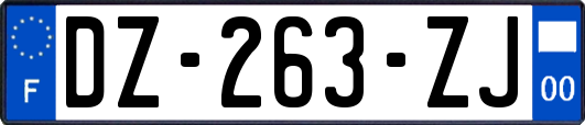 DZ-263-ZJ