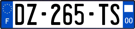 DZ-265-TS