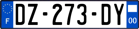 DZ-273-DY