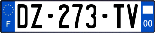 DZ-273-TV