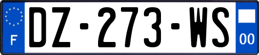 DZ-273-WS