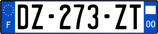 DZ-273-ZT