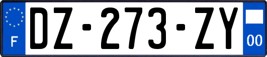 DZ-273-ZY