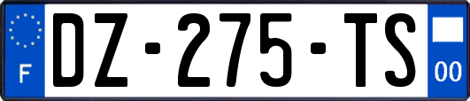 DZ-275-TS