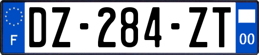 DZ-284-ZT