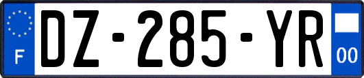 DZ-285-YR