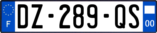 DZ-289-QS