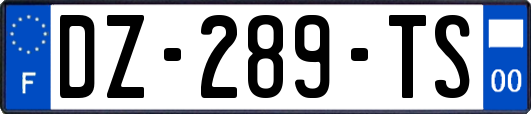 DZ-289-TS