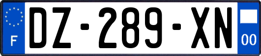 DZ-289-XN