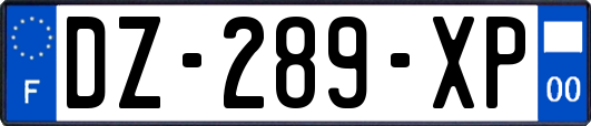 DZ-289-XP