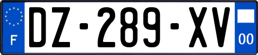 DZ-289-XV