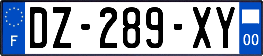 DZ-289-XY