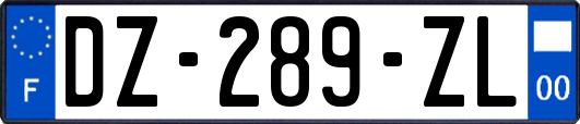 DZ-289-ZL