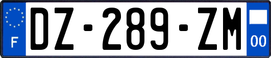 DZ-289-ZM