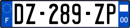 DZ-289-ZP