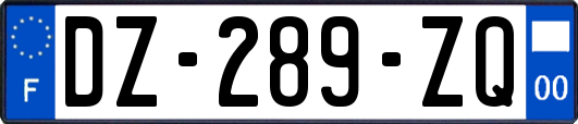 DZ-289-ZQ