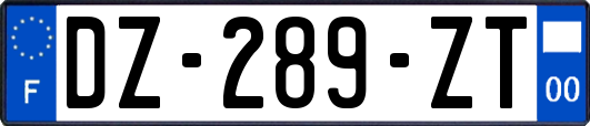 DZ-289-ZT