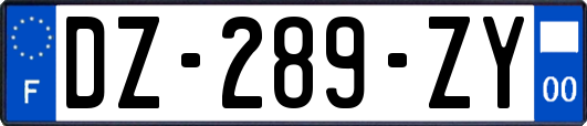 DZ-289-ZY