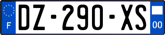 DZ-290-XS