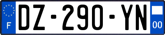 DZ-290-YN