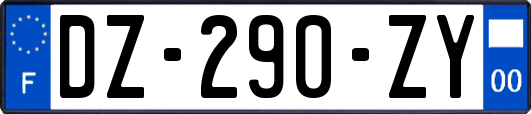 DZ-290-ZY