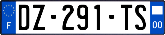 DZ-291-TS