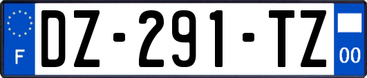 DZ-291-TZ