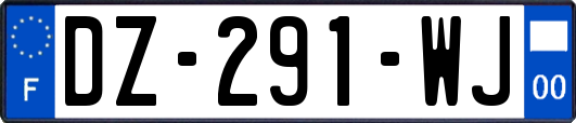 DZ-291-WJ