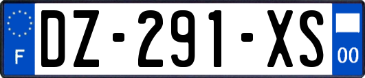 DZ-291-XS