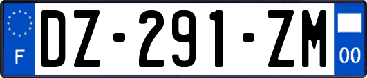 DZ-291-ZM