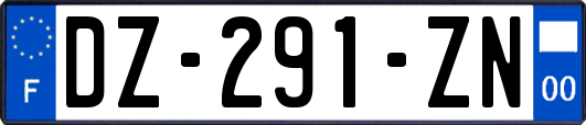 DZ-291-ZN