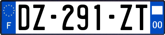 DZ-291-ZT