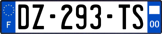 DZ-293-TS