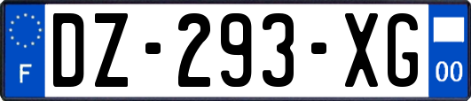 DZ-293-XG