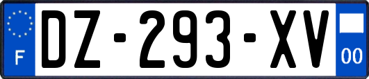 DZ-293-XV