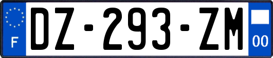 DZ-293-ZM