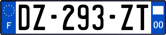 DZ-293-ZT