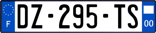 DZ-295-TS