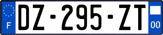 DZ-295-ZT