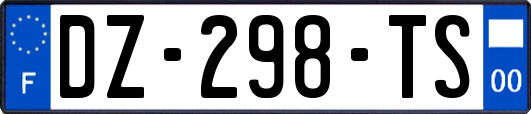 DZ-298-TS