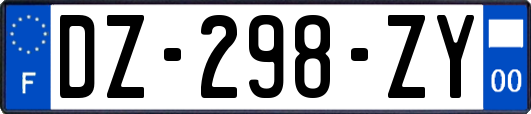 DZ-298-ZY