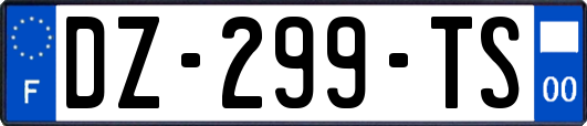 DZ-299-TS