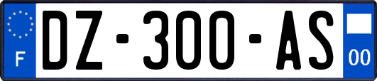 DZ-300-AS