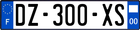 DZ-300-XS