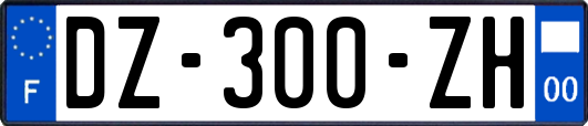 DZ-300-ZH