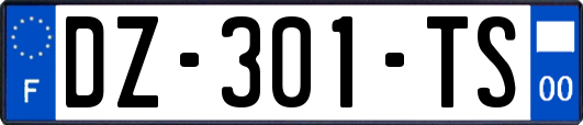 DZ-301-TS