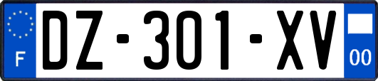 DZ-301-XV